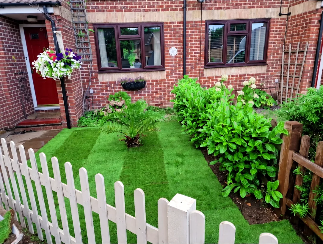 Front garden lawn and planting